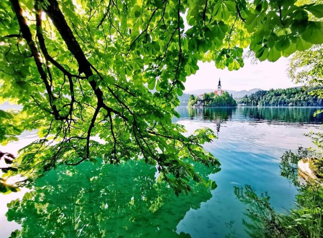 Apartments Karin Bled Zewnętrze zdjęcie